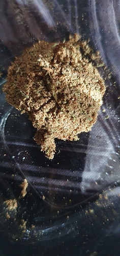 Growreport Bild 2