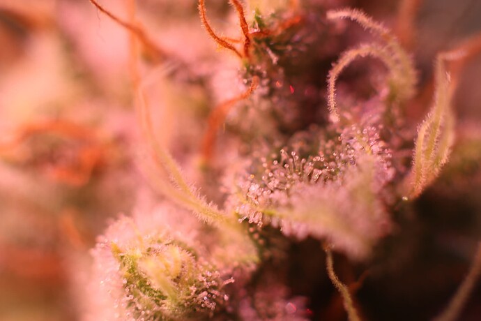 Growreport Bild 22