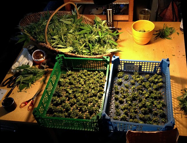 Growreport Bild 28
