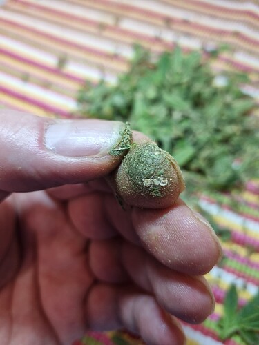 Growreport Bild 26