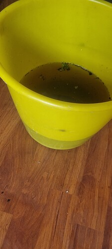 Growreport Bild 31