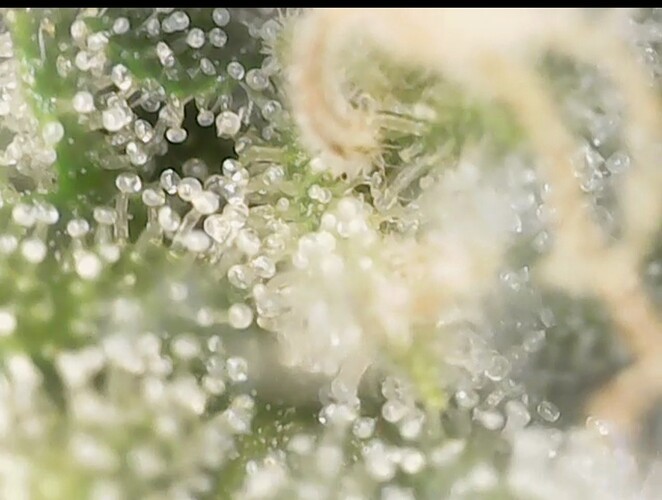 Screenshot_20220906-200637_Gallery