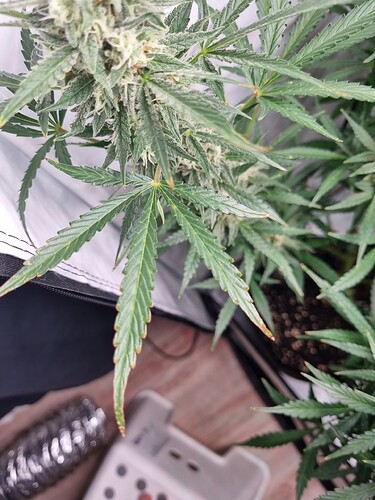 Growreport Bild 12
