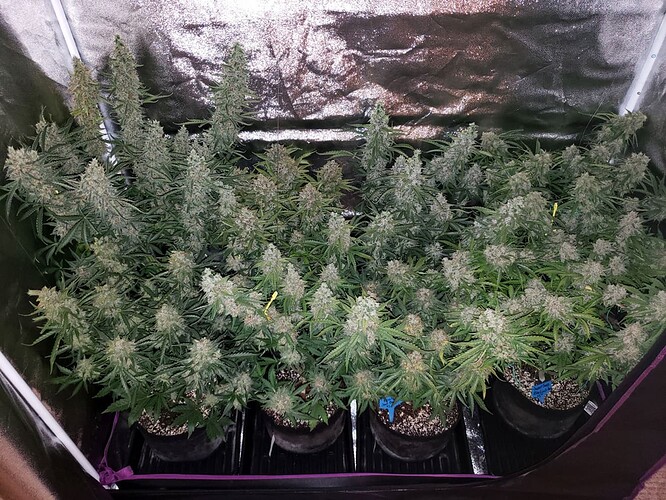 Growreport Bild 16