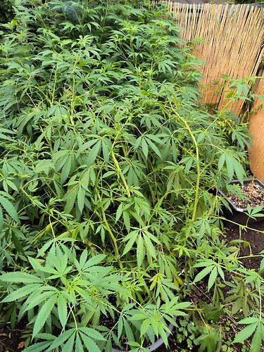 Growreport Bild 8