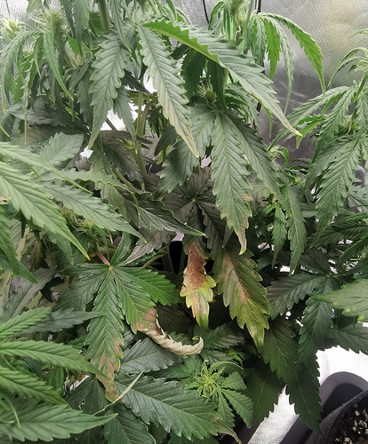 Growreport Bild 16