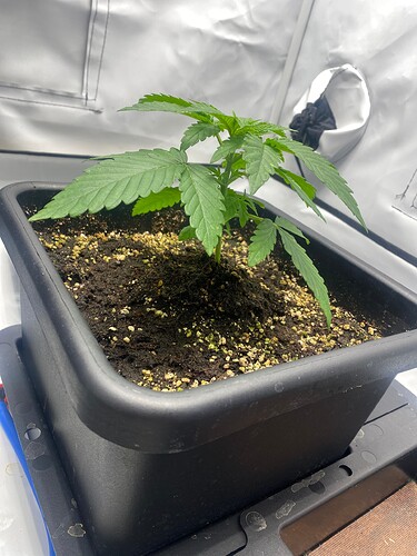 Growreport Bild 10