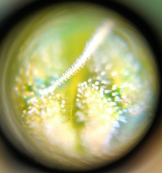 Growreport Bild 3