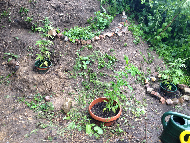 Growreport Bild 12