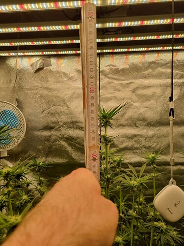 Growreport Bild 27