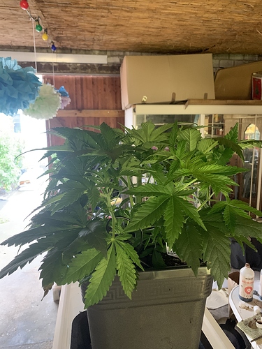 Growreport Bild 7