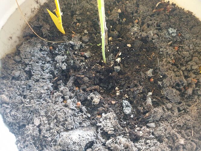 photo_2023-10-16_13-09-01