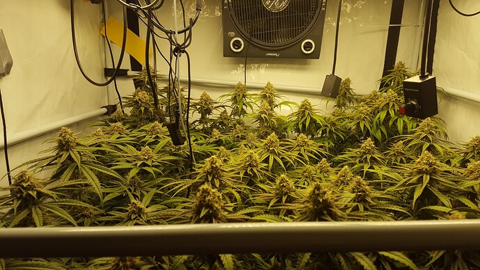 Growreport Bild 1