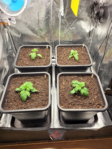 Growreport Bild 23