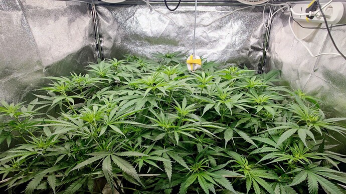 Growreport Bild 23