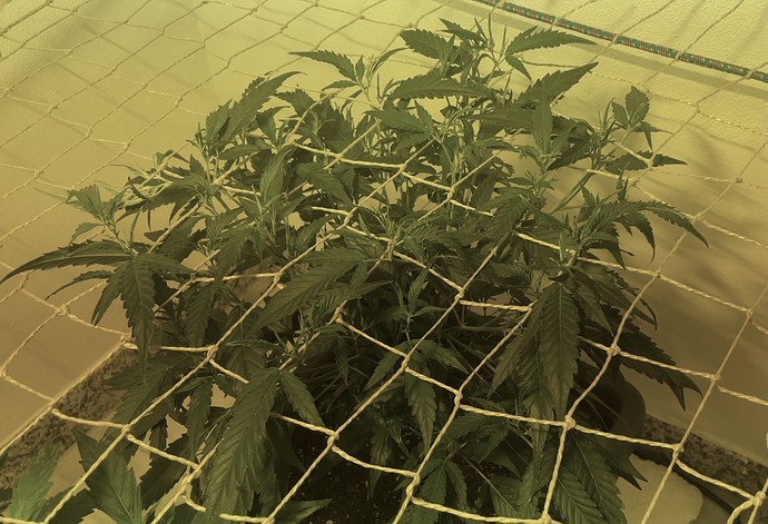 Growreport Bild 26