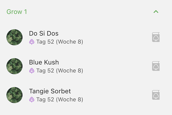 Growreport Bild 20
