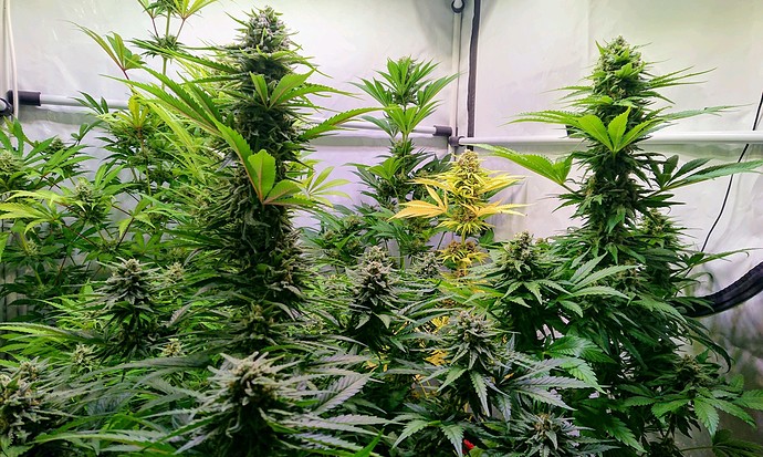Growreport Bild 24