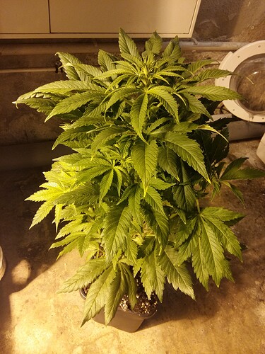 Growreport Bild 6