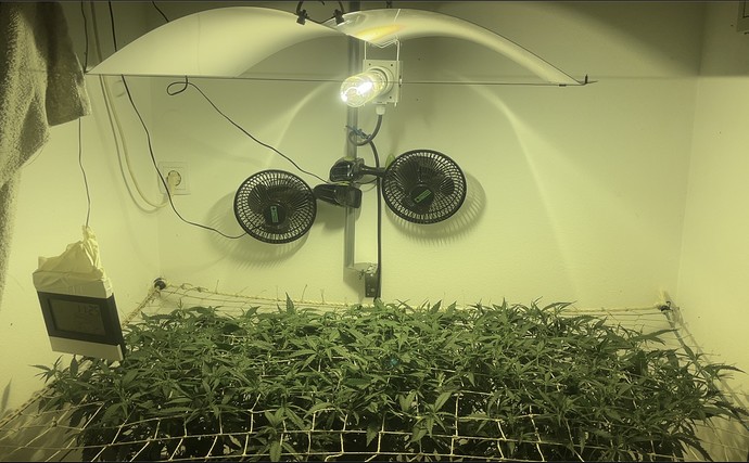 Growreport Bild 15