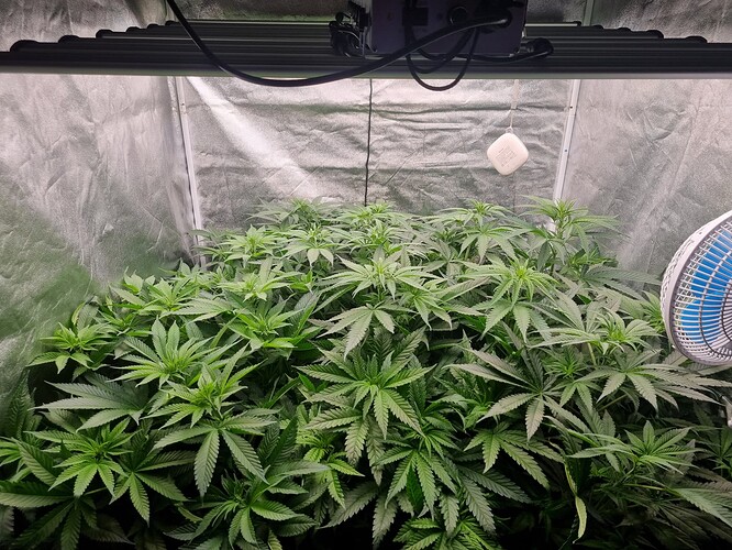 Growreport Bild 2