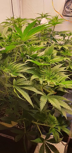 Growreport Bild 11
