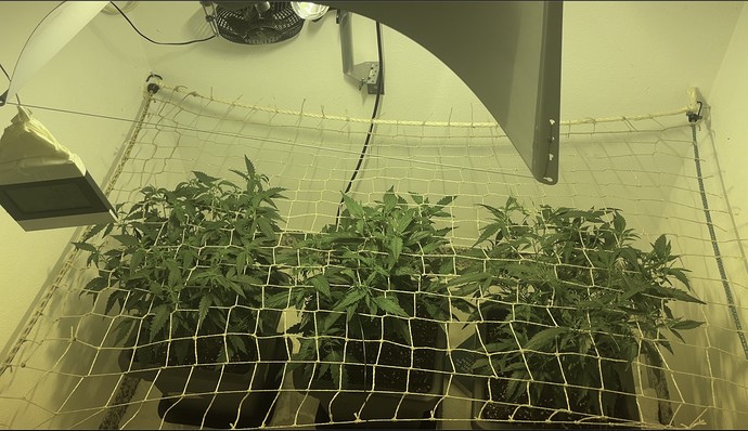 Growreport Bild 20