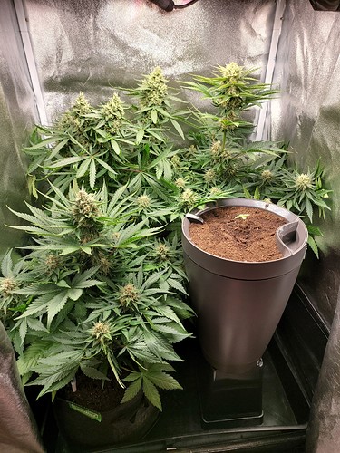 Growreport Bild 8