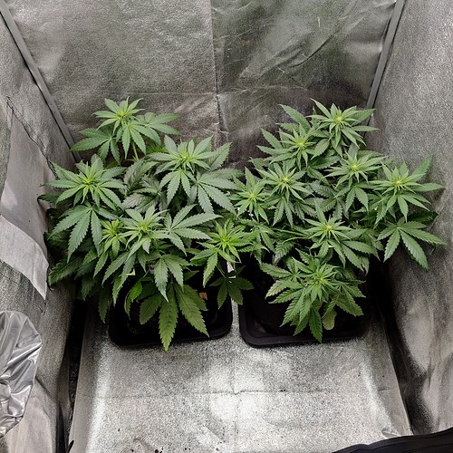 Growreport Bild 10