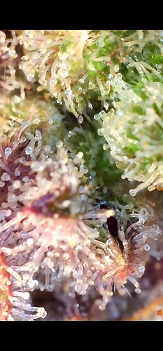 Growreport Bild 9