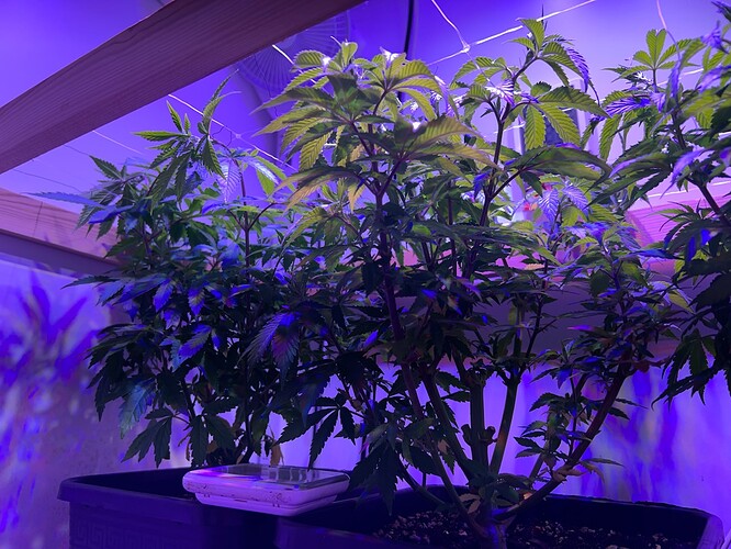 Growreport Bild 8