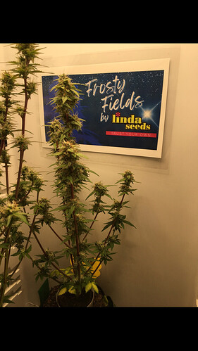 Growreport Bild 6