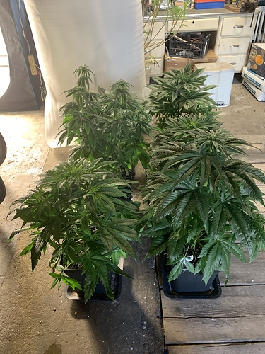 Growreport Bild 10