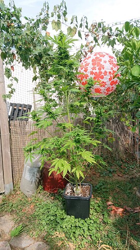 Growreport Bild 12