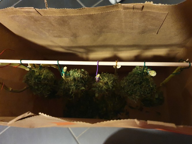 Growreport Bild 8