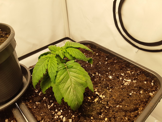 Growreport Bild 12