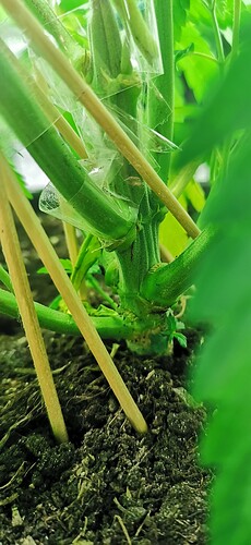 Growreport Bild 18