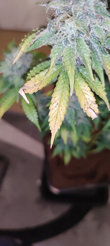 Growreport Bild 8