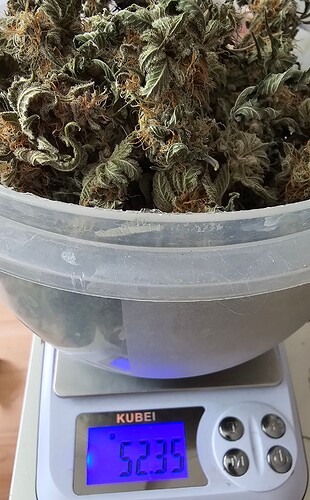 Growreport Bild 19