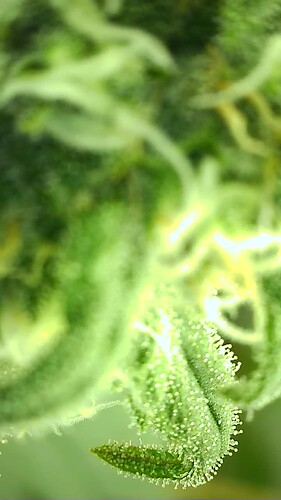 2022_04_01_15_06_58_410