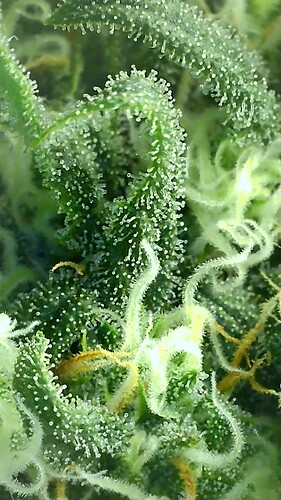 2022_04_01_15_09_12_960