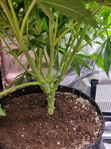 Growreport Bild 6