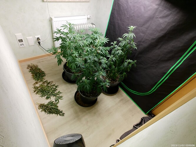 Growreport Bild 6