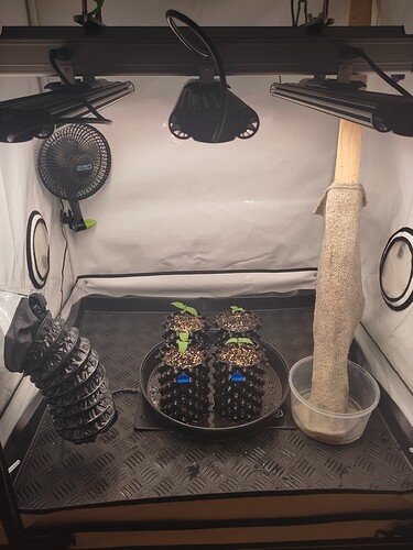 Growreport Bild 7