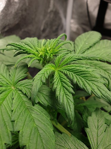 Growreport Bild 12