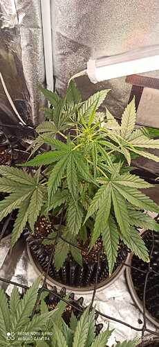 IMG-20230929-WA0015