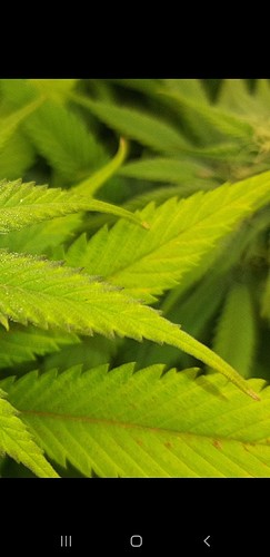 Growreport Bild 10