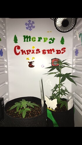 Growreport Bild 9