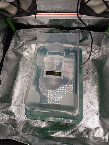 Growreport Bild 3
