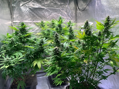 Growreport Bild 10